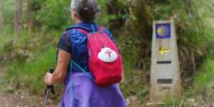 Camino de Santiago