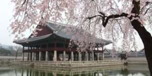 Viajes a Corea del Sur