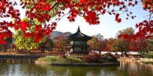 Viajes a Corea del Sur