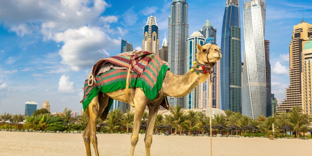 Viajes a Turquia y Dubai