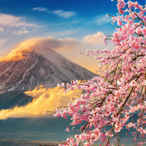 viaje a Japón con babel viajes