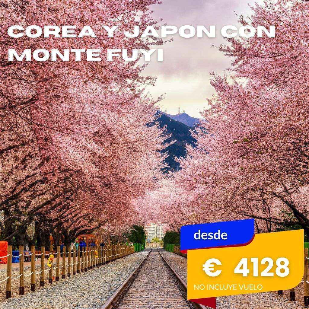 Viaje a Japon y Corea con babel viajes