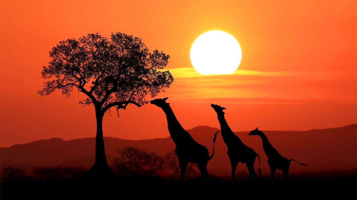 Viaje a Sudafrica todo el año con babel viajes