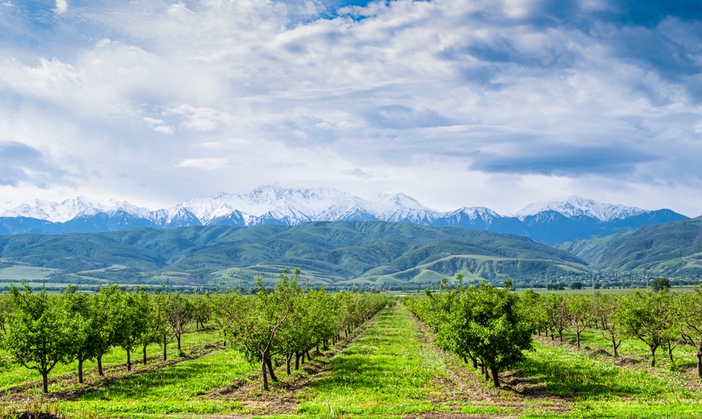 Ruta Argentina del Vino y los Colores del Norte